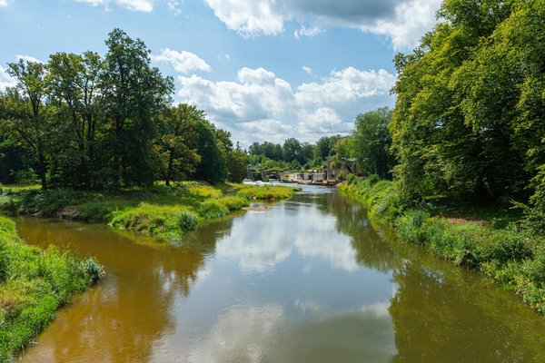 Décoder les Enjeux des Compulsions Alimentaires : Guide Complet